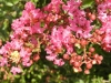 dscn1873