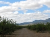 dscn1885