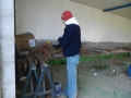 3-seleccion-de-planta-2