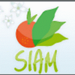SIAM